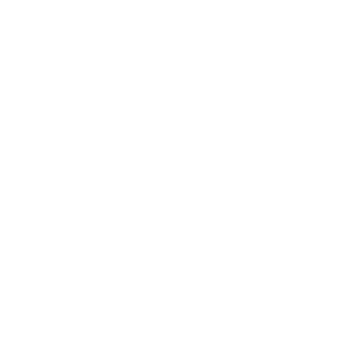 Faraon-logo-gif-resized-blanco logo-faraon-blanco-animated